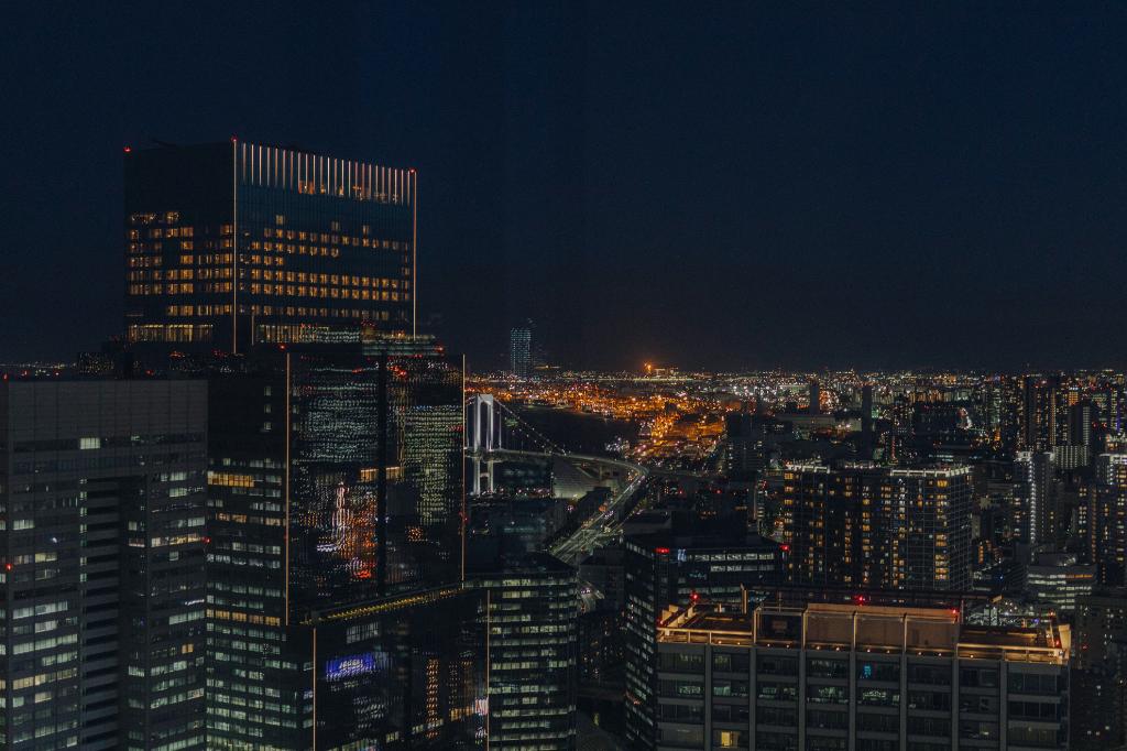 World Tower Residence — 46th-Floor Penthouse — photo 6