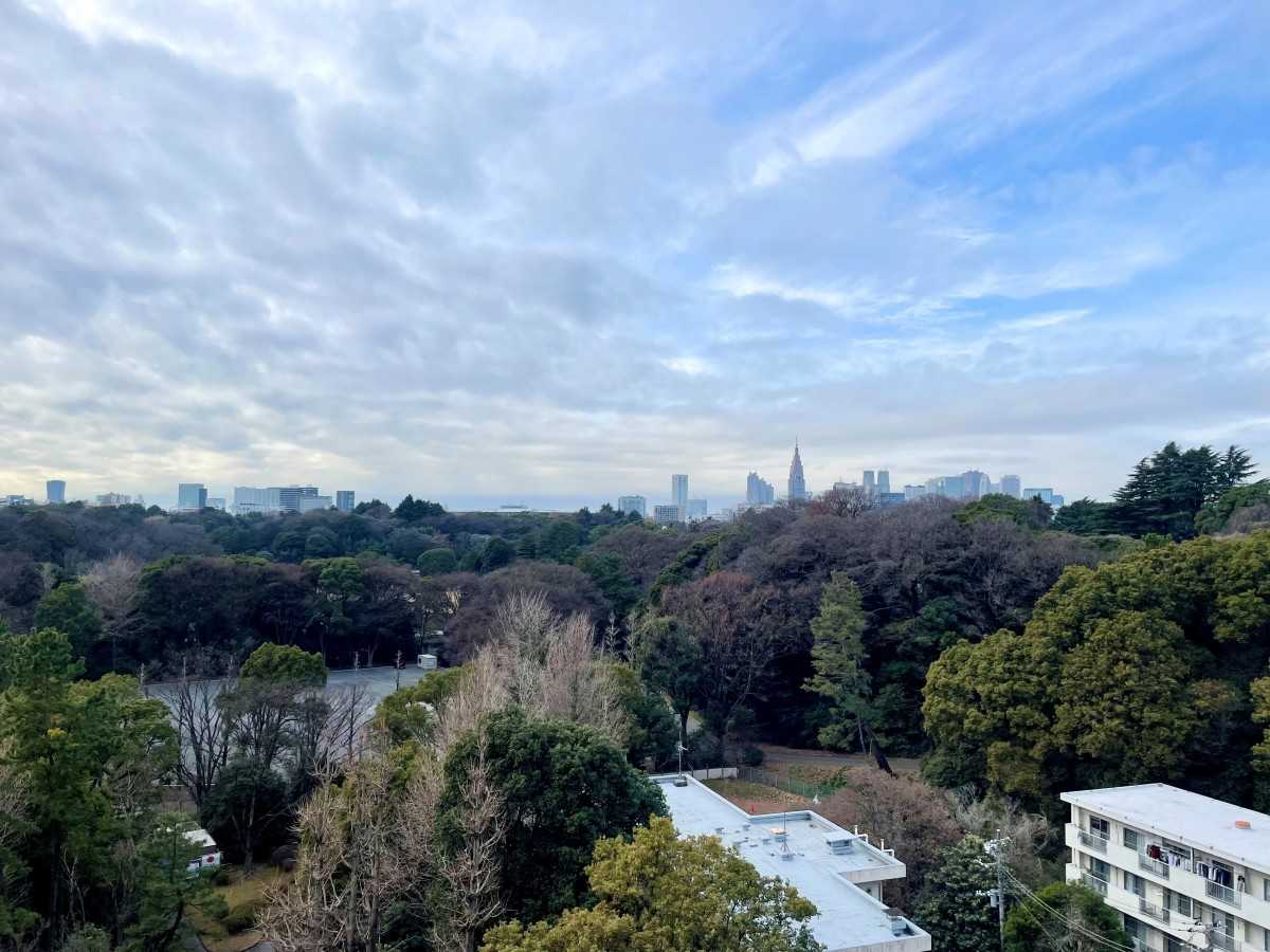 Moto-Akasaka Towers — photo 3