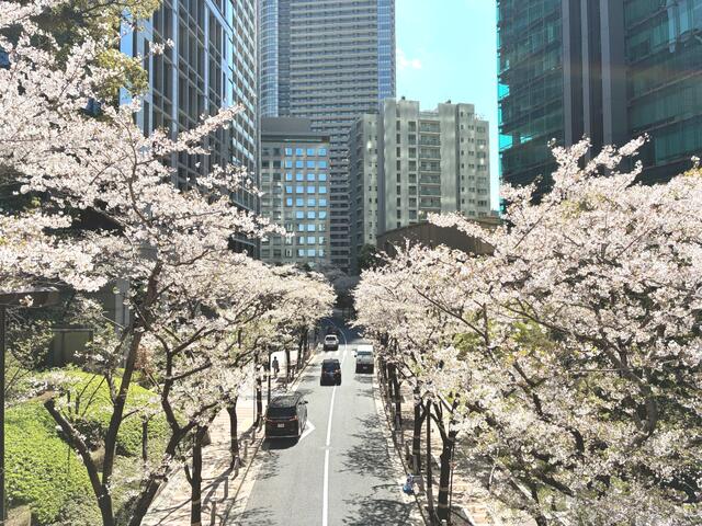 SAION SAKURAZAKA — photo 4